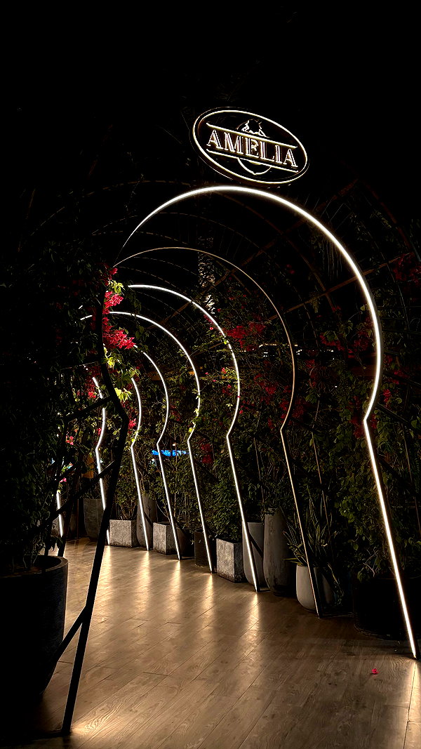 romi.zion romi.zion archive image