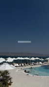 romi.zion Altpins Profile Picture