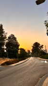 romi_azruel Altpins Profile Picture