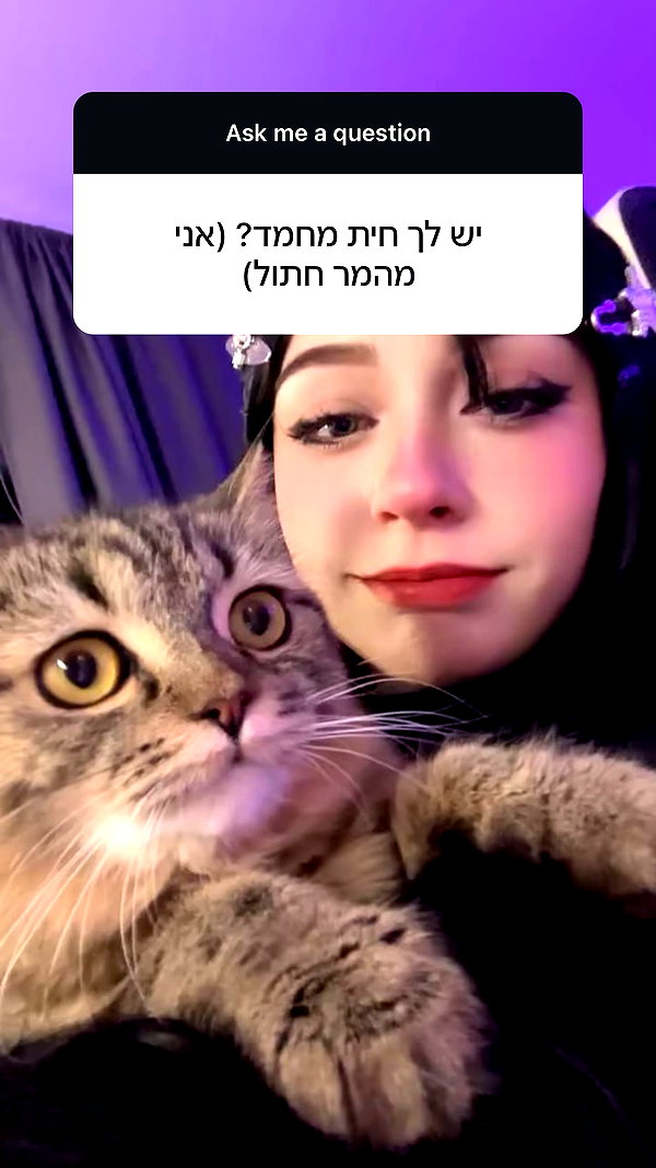 romituly instagram image archive image