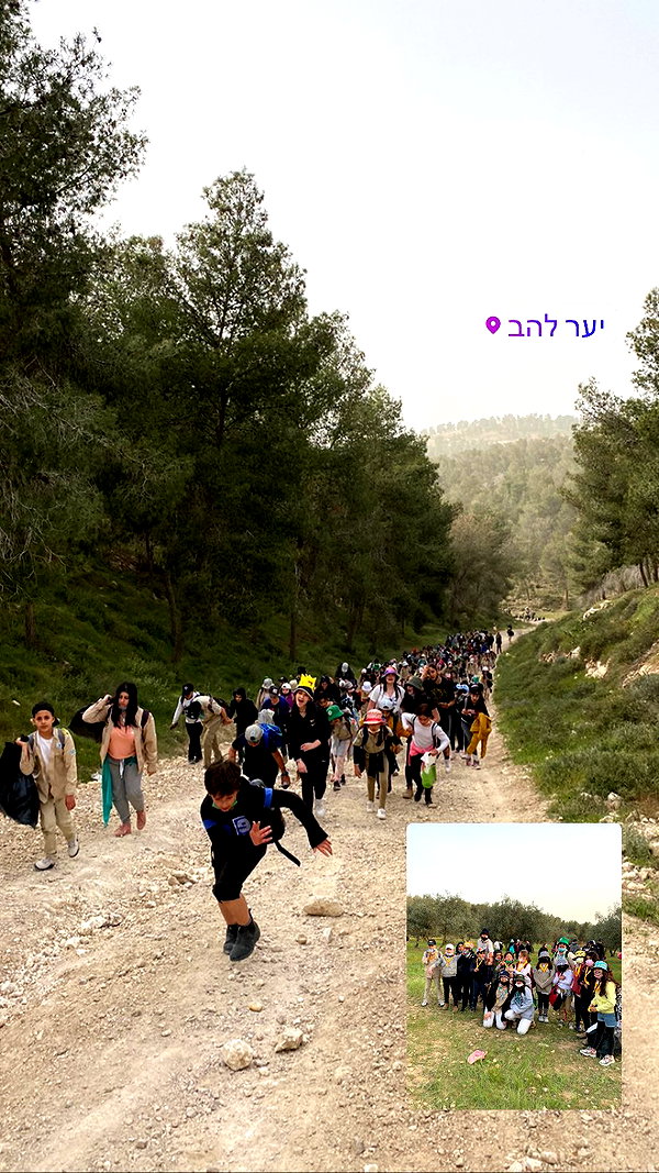 rommy_banouz rommy_banouz archive image