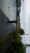 rommy_banouz Altpins Profile Picture