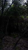 rommy_banouz Altpins Profile Picture