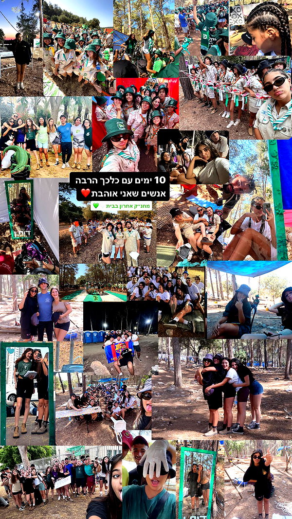 rommy_banouz rommy_banouz archive image