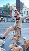 romy.benshushan Altpins Profile Picture