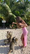 romy.benshushan Altpins Profile Picture