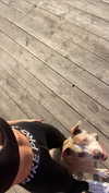 romy.benshushan Altpins Profile Picture