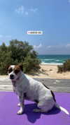 romy.benshushan Altpins Profile Picture