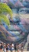 romy.benshushan Altpins Profile Picture
