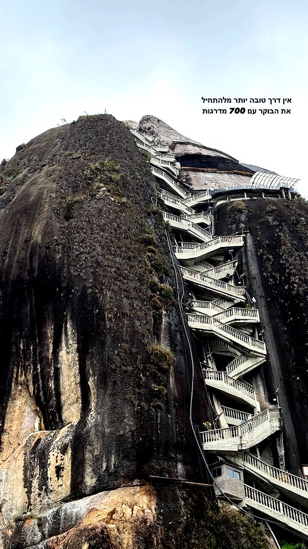 romy.benshushan romy.benshushan archive image