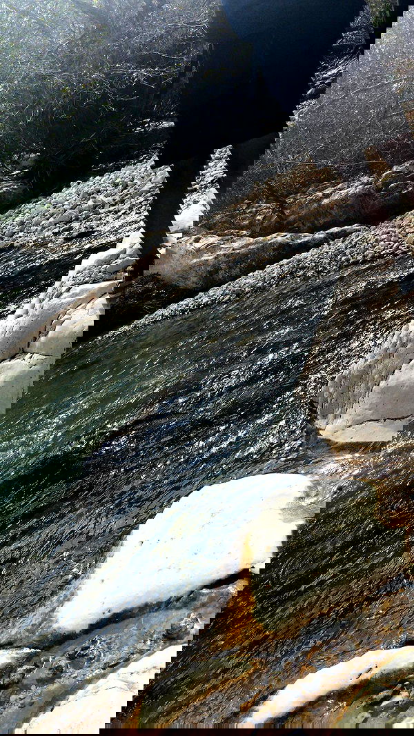 romy_ayalla_lavi romy_ayalla_lavi archive image