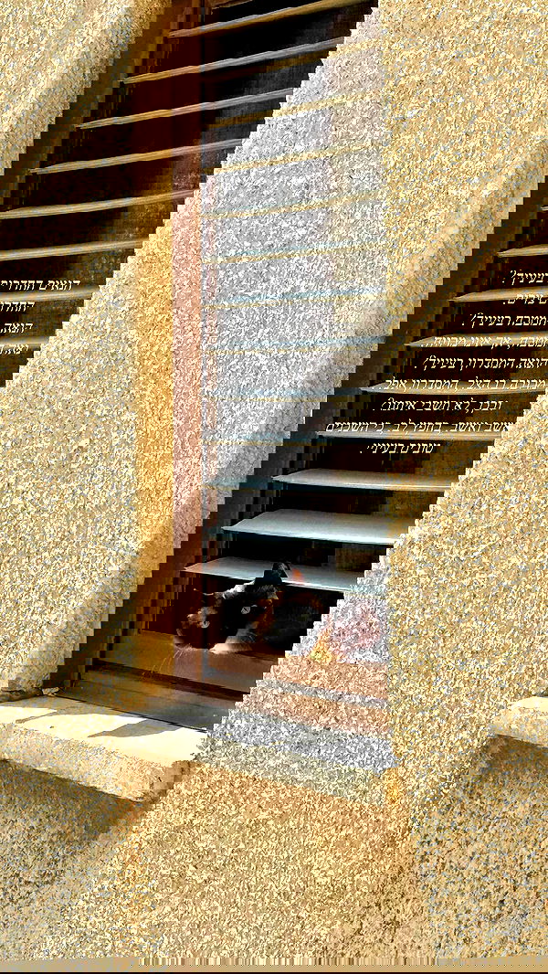 romy_ayalla_lavi romy_ayalla_lavi archive image