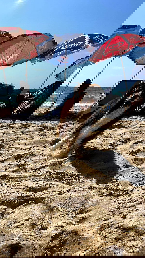 romy_ayalla_lavi romy_ayalla_lavi archive image