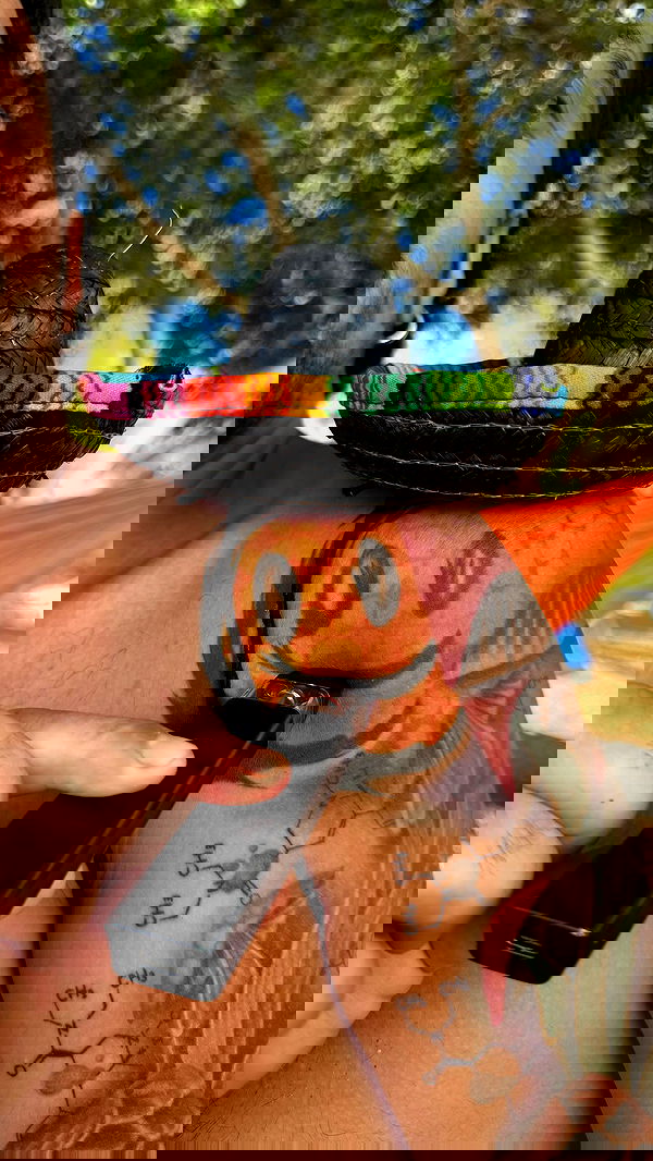 romy_ayalla_lavi romy_ayalla_lavi archive image