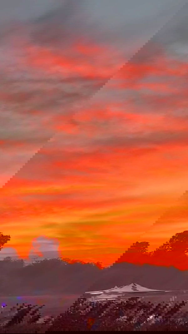 romy_ayalla_lavi romy_ayalla_lavi archive image