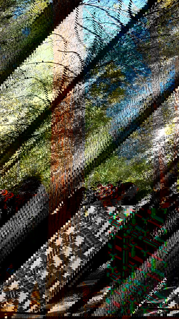 romy_ayalla_lavi romy_ayalla_lavi archive image