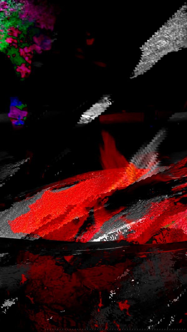 romy_ayalla_lavi romy_ayalla_lavi archive image