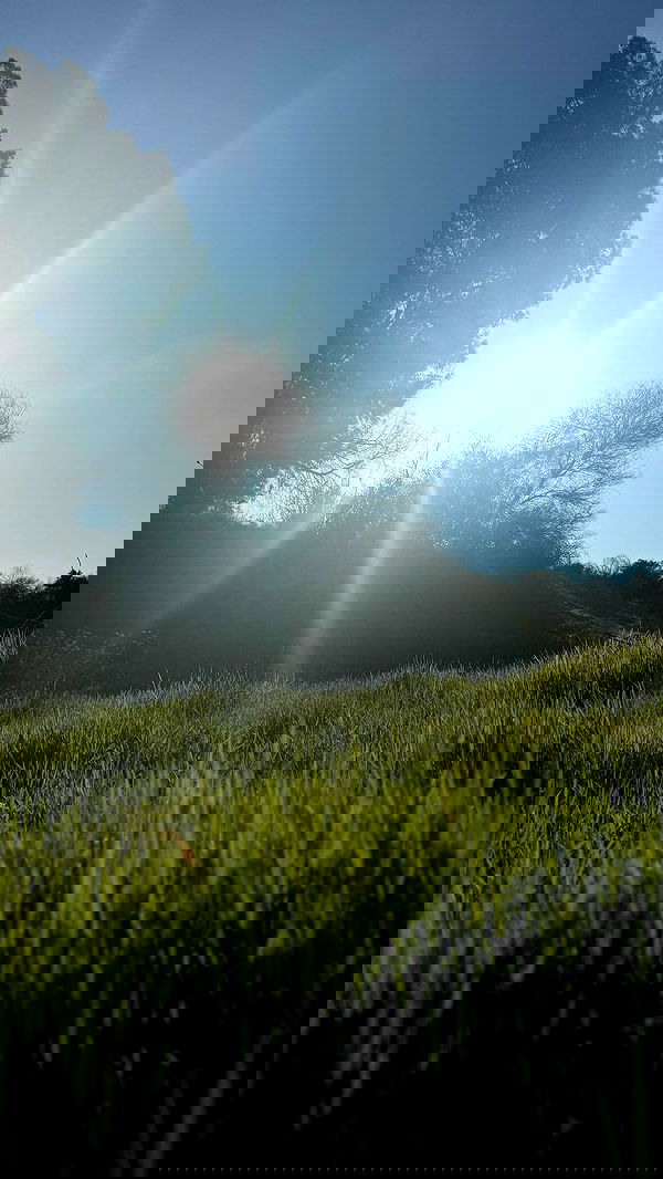 romy_ayalla_lavi romy_ayalla_lavi archive image