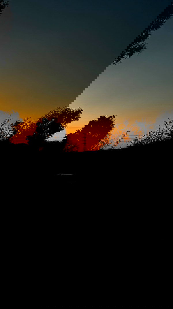 romy_ayalla_lavi romy_ayalla_lavi archive image