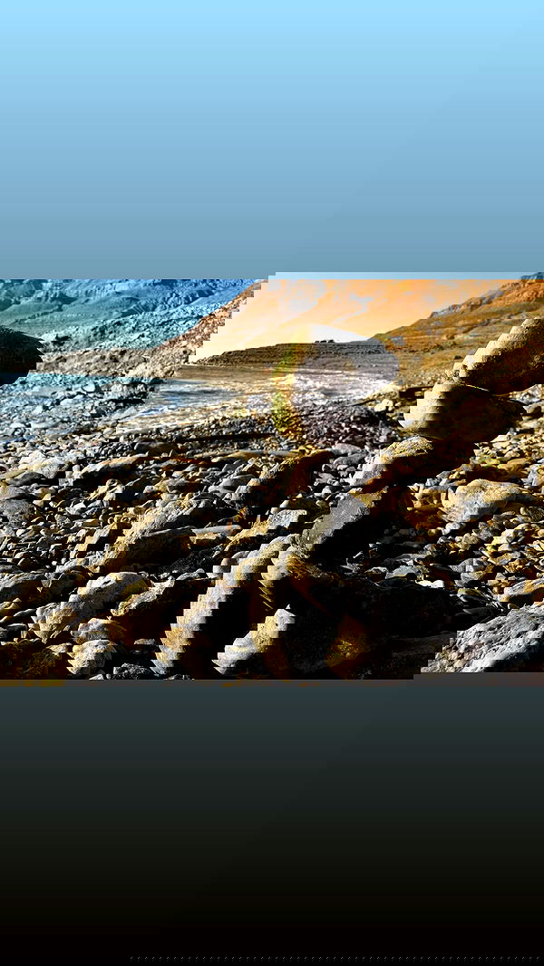 romy_ayalla_lavi romy_ayalla_lavi archive image