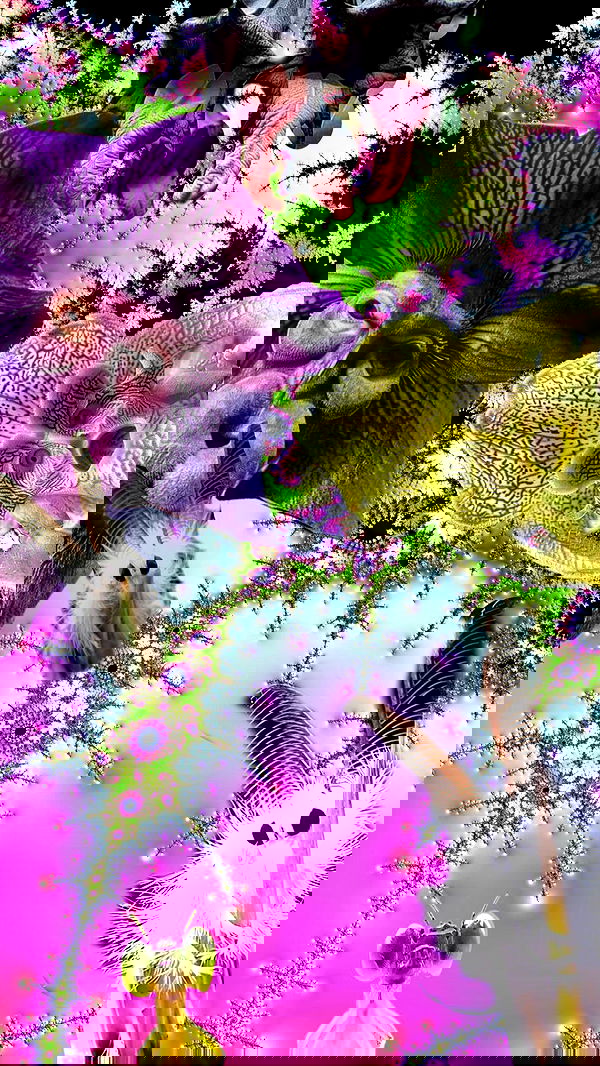 romy_ayalla_lavi romy_ayalla_lavi archive image