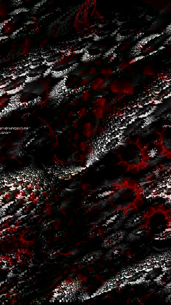 romy_ayalla_lavi romy_ayalla_lavi archive image