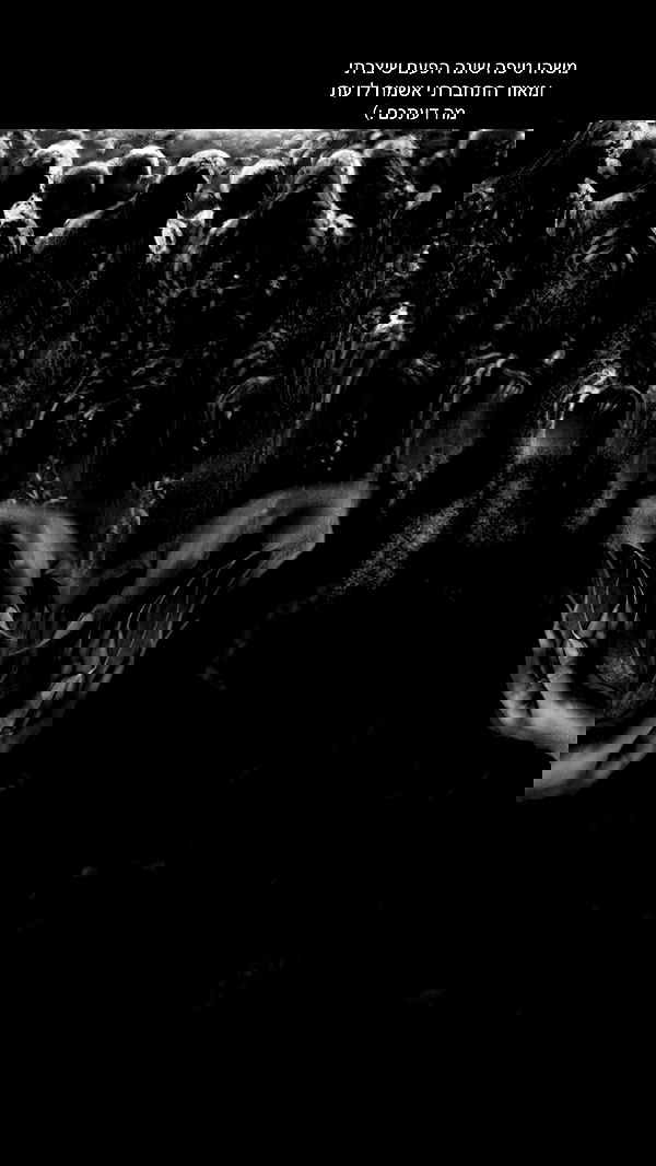 romy_ayalla_lavi romy_ayalla_lavi archive image