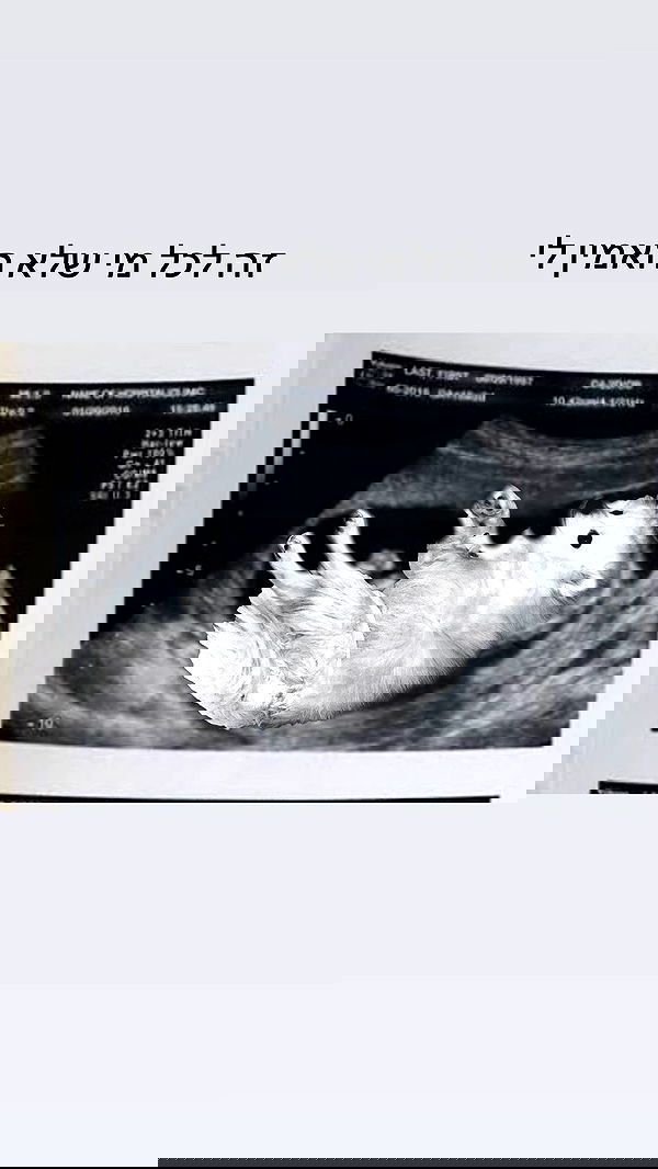 romy_ayalla_lavi romy_ayalla_lavi archive image