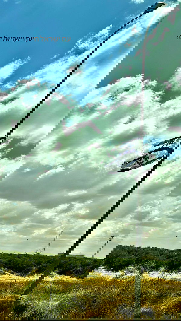 romy_ayalla_lavi romy_ayalla_lavi archive image