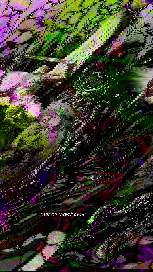 romy_ayalla_lavi romy_ayalla_lavi archive image