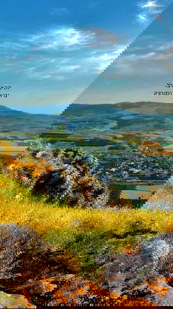 romy_ayalla_lavi romy_ayalla_lavi archive image