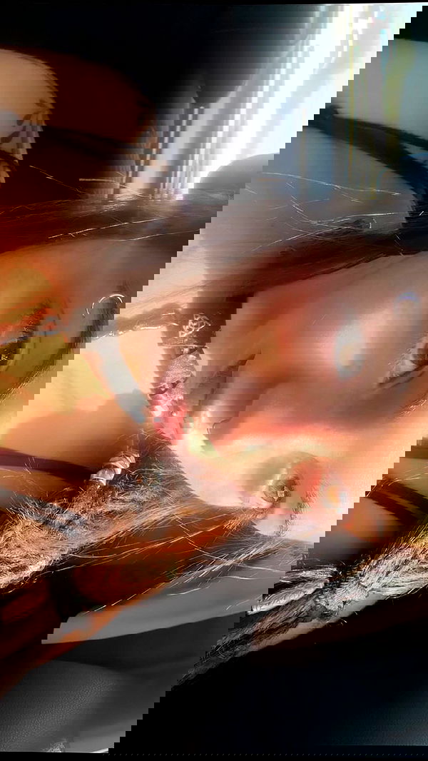 romy_ayalla_lavi romy_ayalla_lavi archive image