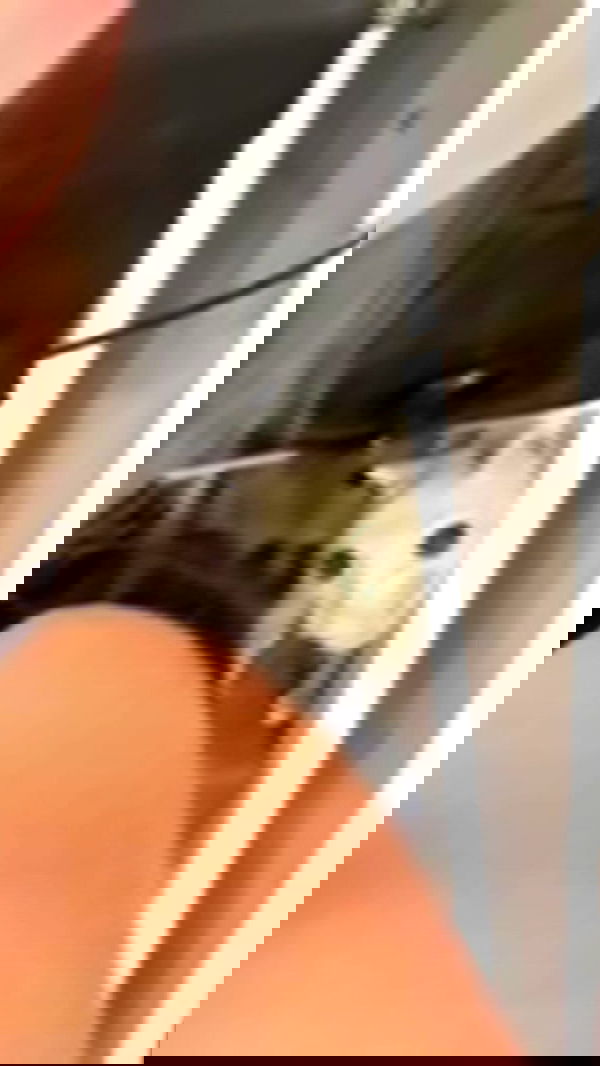 romy_ayalla_lavi romy_ayalla_lavi archive image