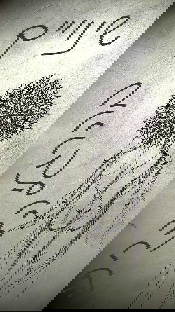 romy_ayalla_lavi romy_ayalla_lavi archive image