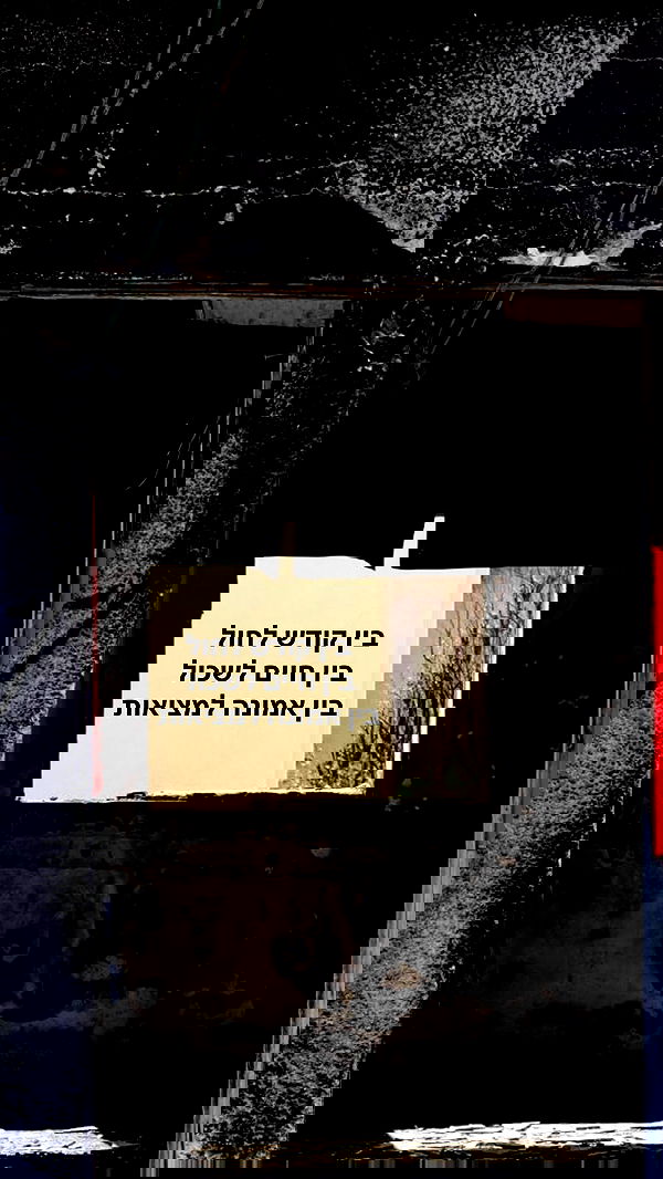 romy_ayalla_lavi romy_ayalla_lavi archive image