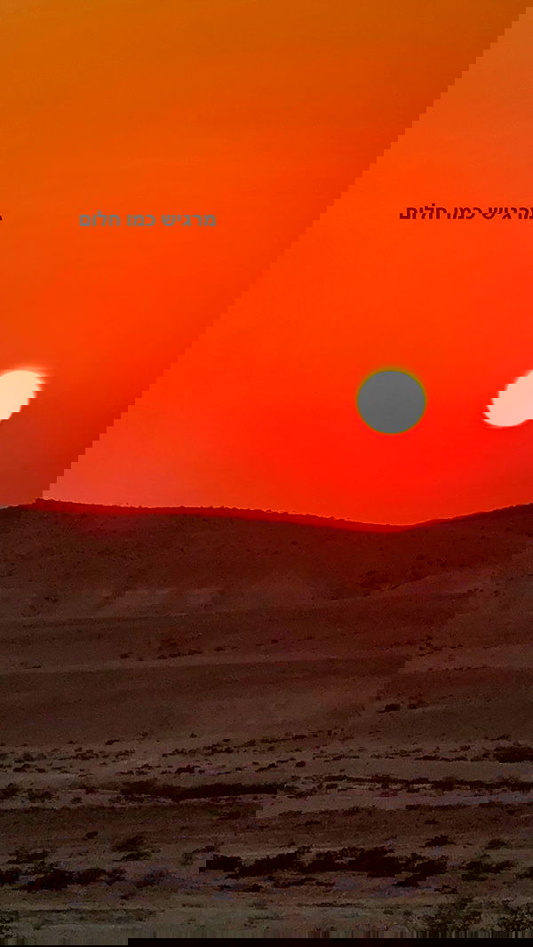 romy_ayalla_lavi romy_ayalla_lavi archive image