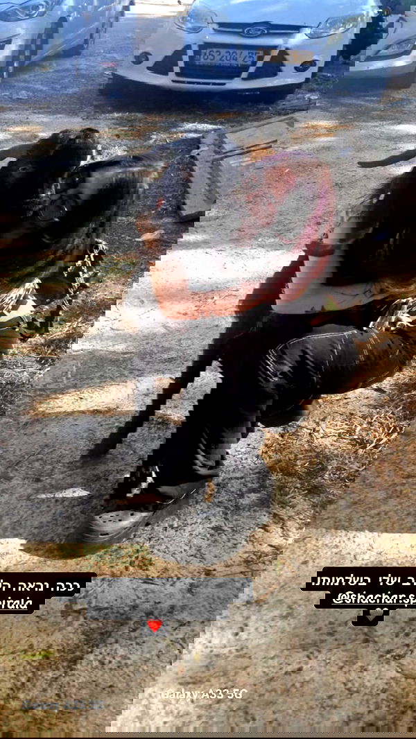 romy_ayalla_lavi romy_ayalla_lavi archive image