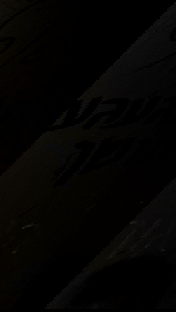 romy_ayalla_lavi romy_ayalla_lavi archive image