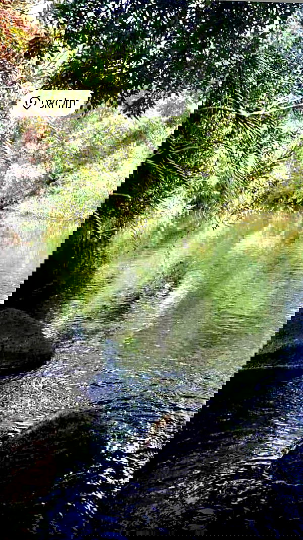 romy_ayalla_lavi romy_ayalla_lavi archive image