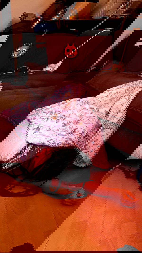 romy_ayalla_lavi romy_ayalla_lavi archive image