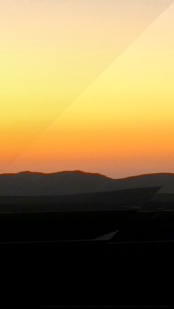 romy_ayalla_lavi romy_ayalla_lavi archive image