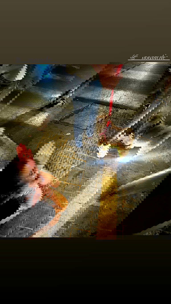 romy_ayalla_lavi romy_ayalla_lavi archive image