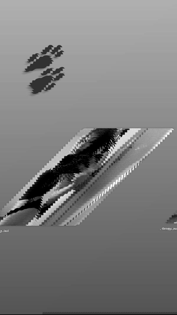 romy_ayalla_lavi romy_ayalla_lavi archive image