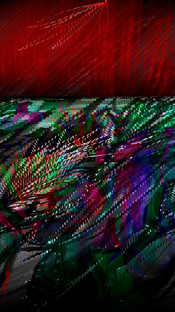 romy_ayalla_lavi romy_ayalla_lavi archive image