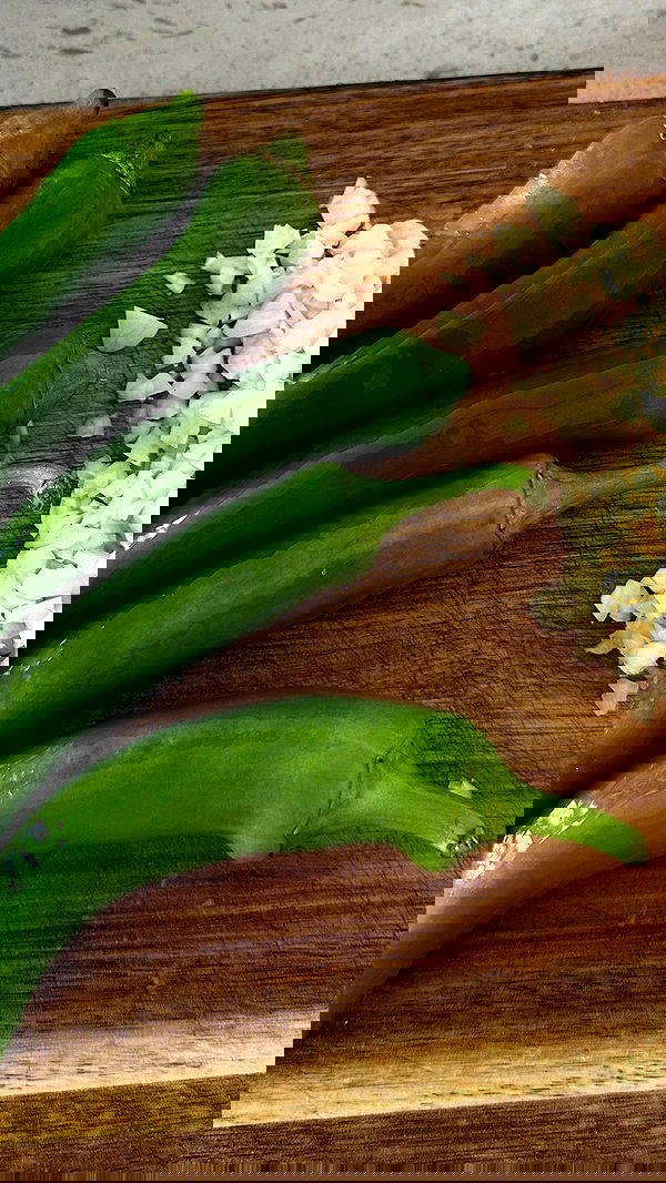 roni.benshushan roni.benshushan archive image