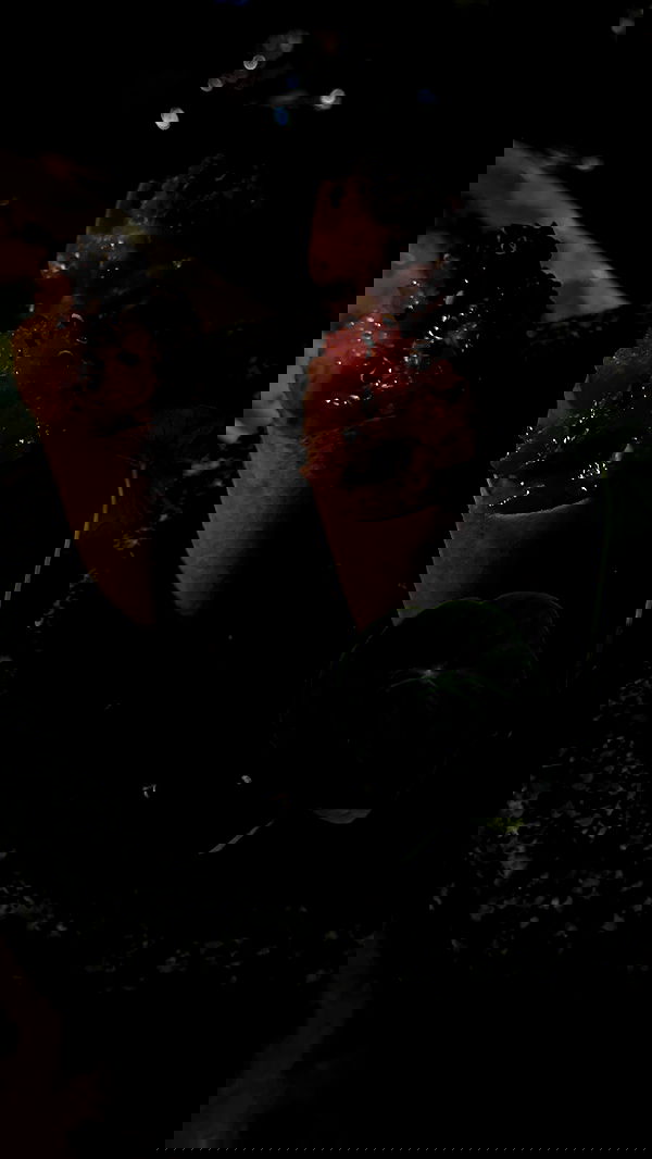 roni.benshushan roni.benshushan archive image