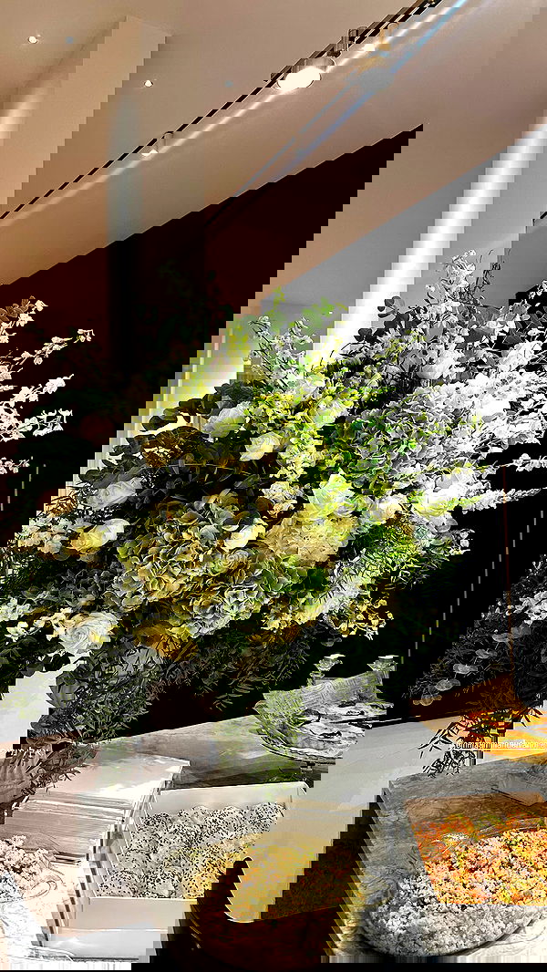 roni.benshushan roni.benshushan archive image