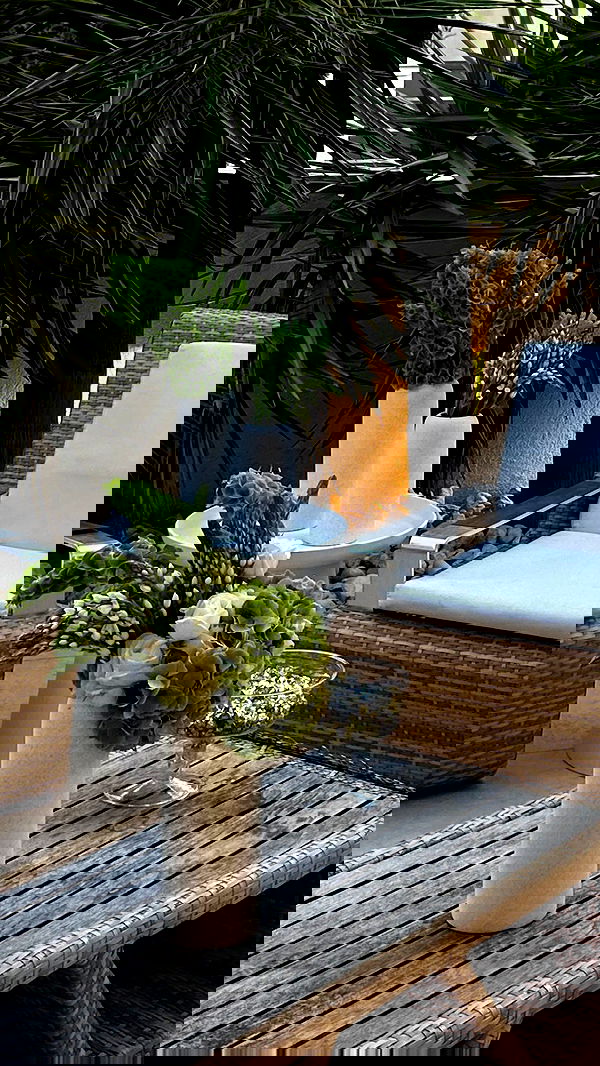 roni.benshushan roni.benshushan archive image