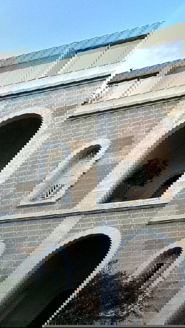 roni.benshushan roni.benshushan archive image