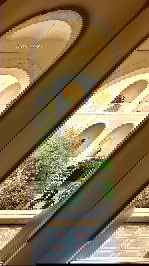 roni.benshushan roni.benshushan archive image